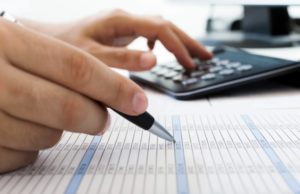 small business tax accountant reviewing financial reports